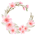 cherry blossoms budding