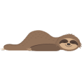 sloth laying down